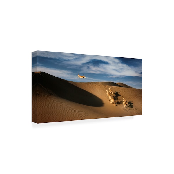 Wael Onsy 'The Sand Gazelle' Canvas Art,12x24